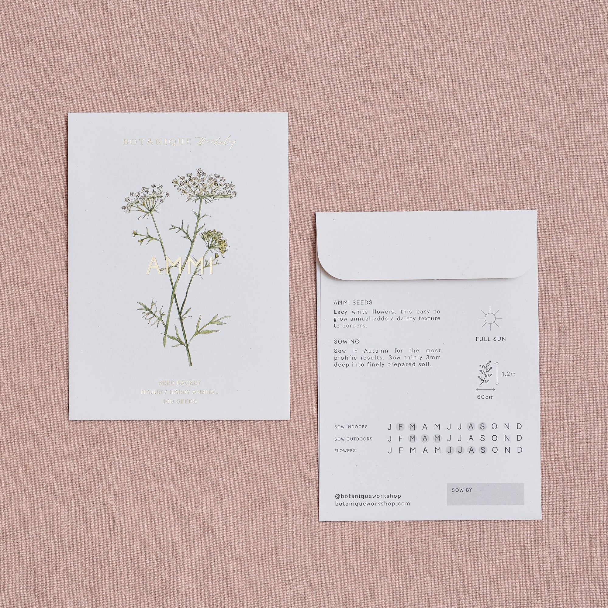 Ammi Majus Seed Packet