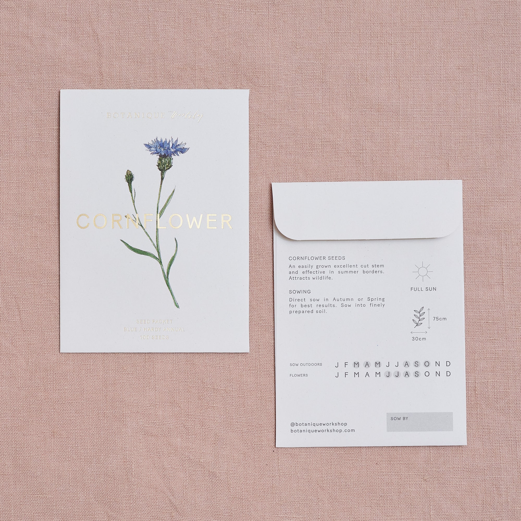 Cornflower Blue Seed Packet