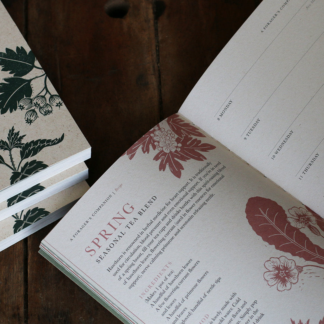 A Forager's Companion - 2024 Diary by Isla Middleton