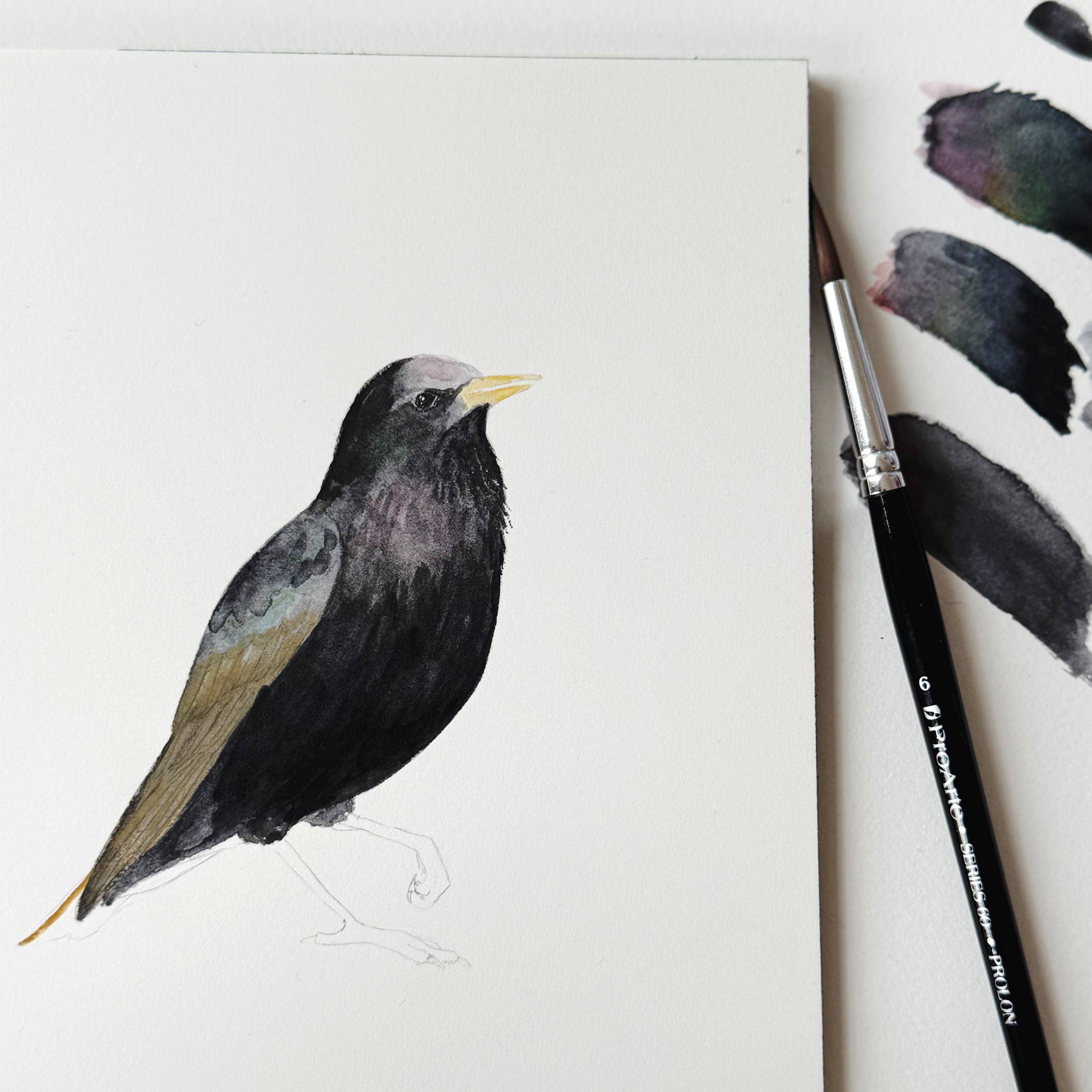 Fabulous Starling Card