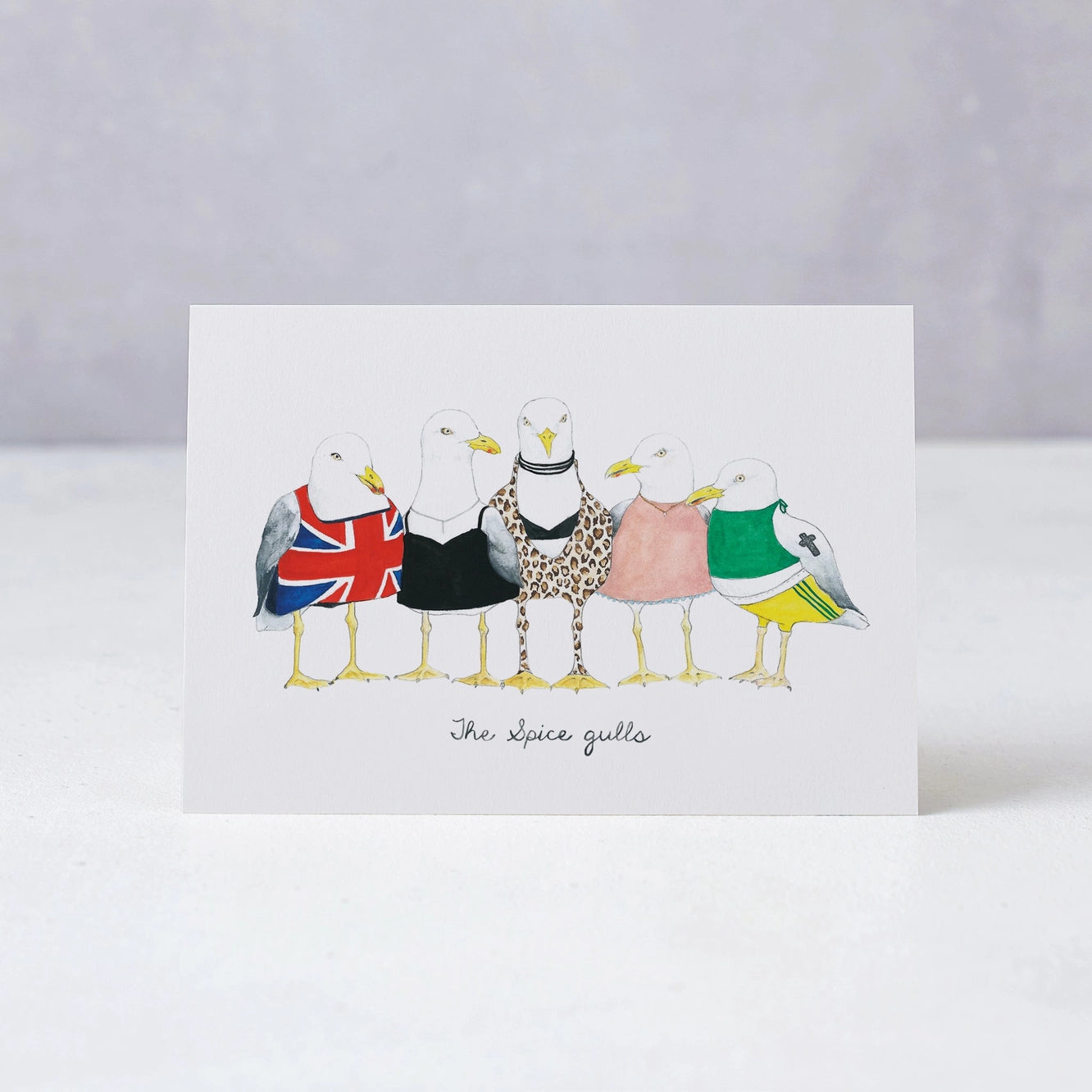 Spice Gulls Greetings Card