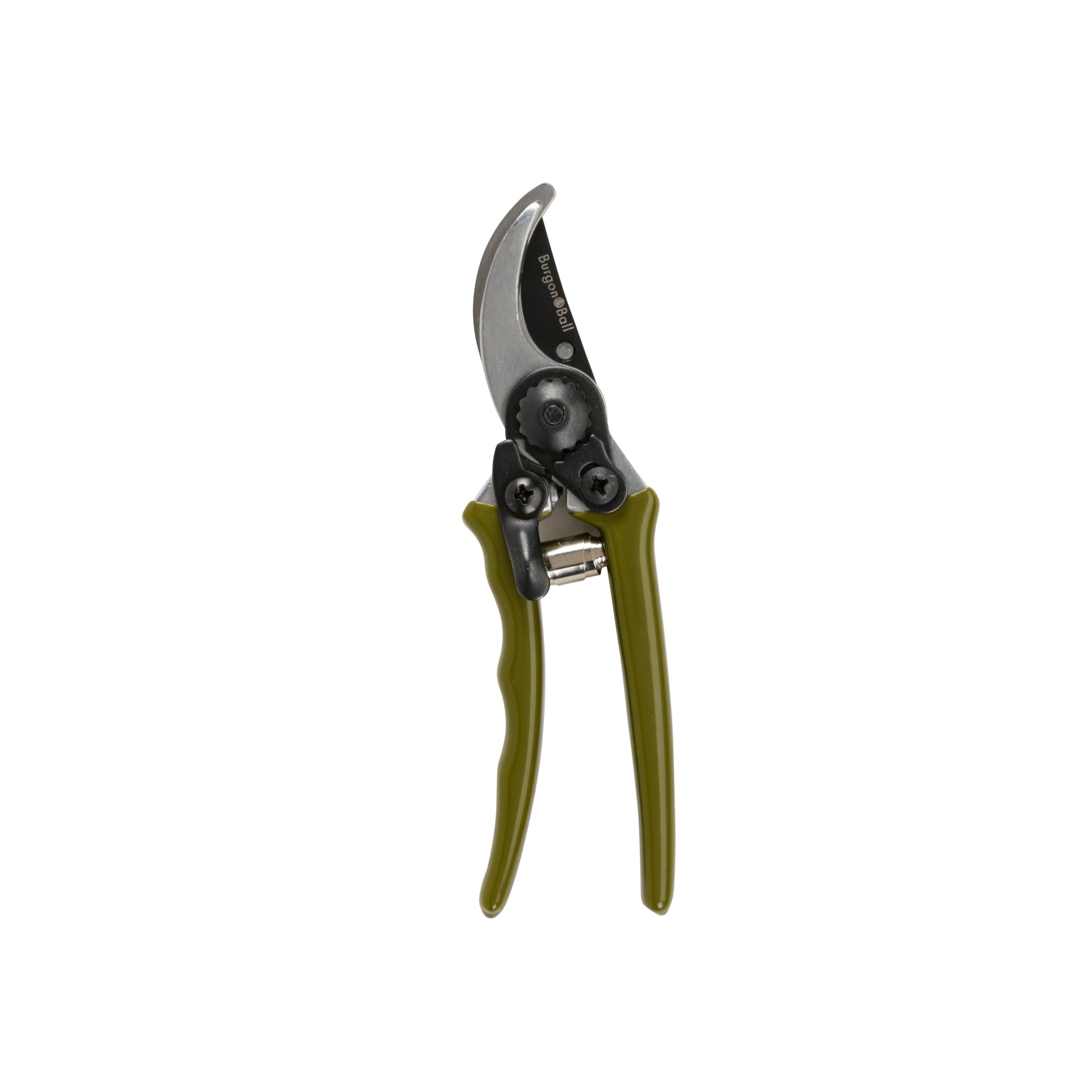 Olive Micro Secateurs