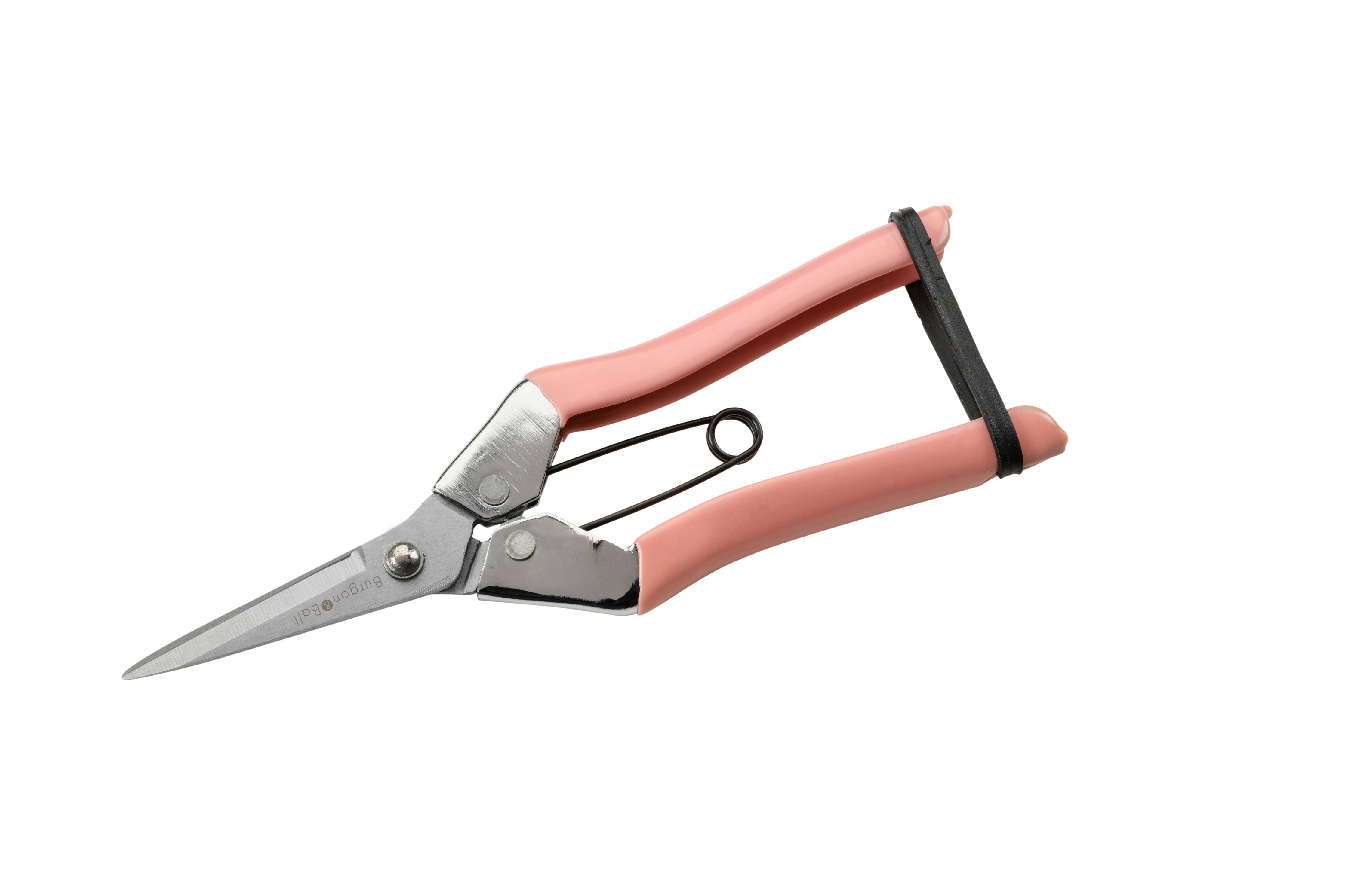 Blush Fruit and Flower Snips