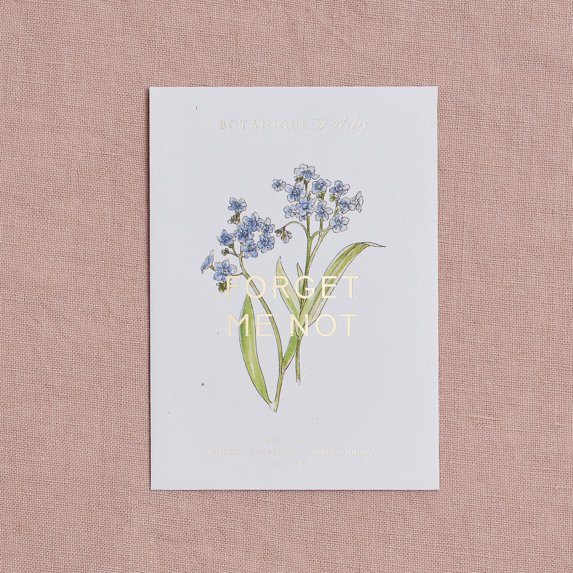 Forget-me-not myosotis alpestris Seed Packet