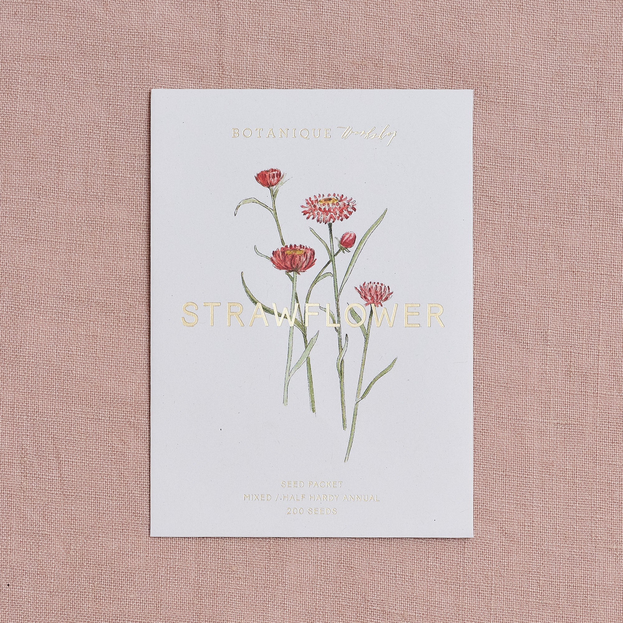 Strawflower Mixed Seed Packet