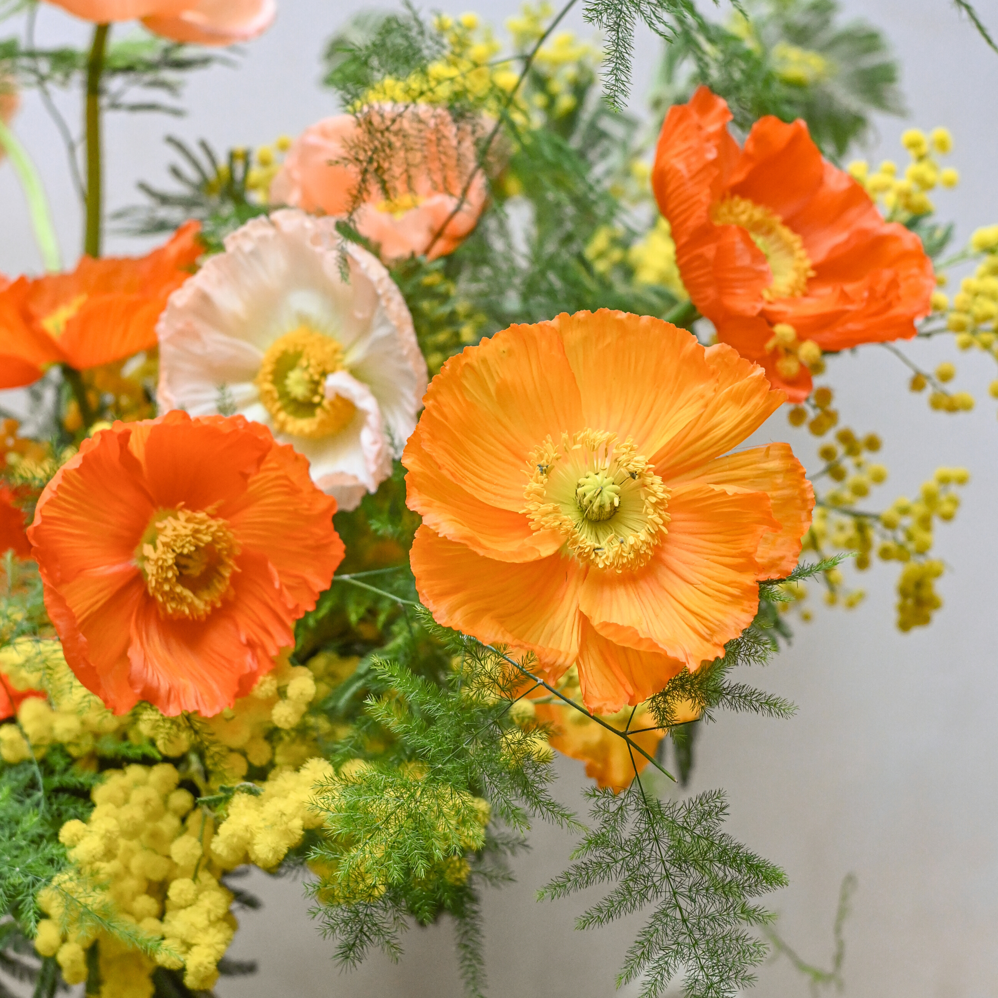 icelandic poppies and mimosa fresh flowers bouquet available for London & UK flower delivery