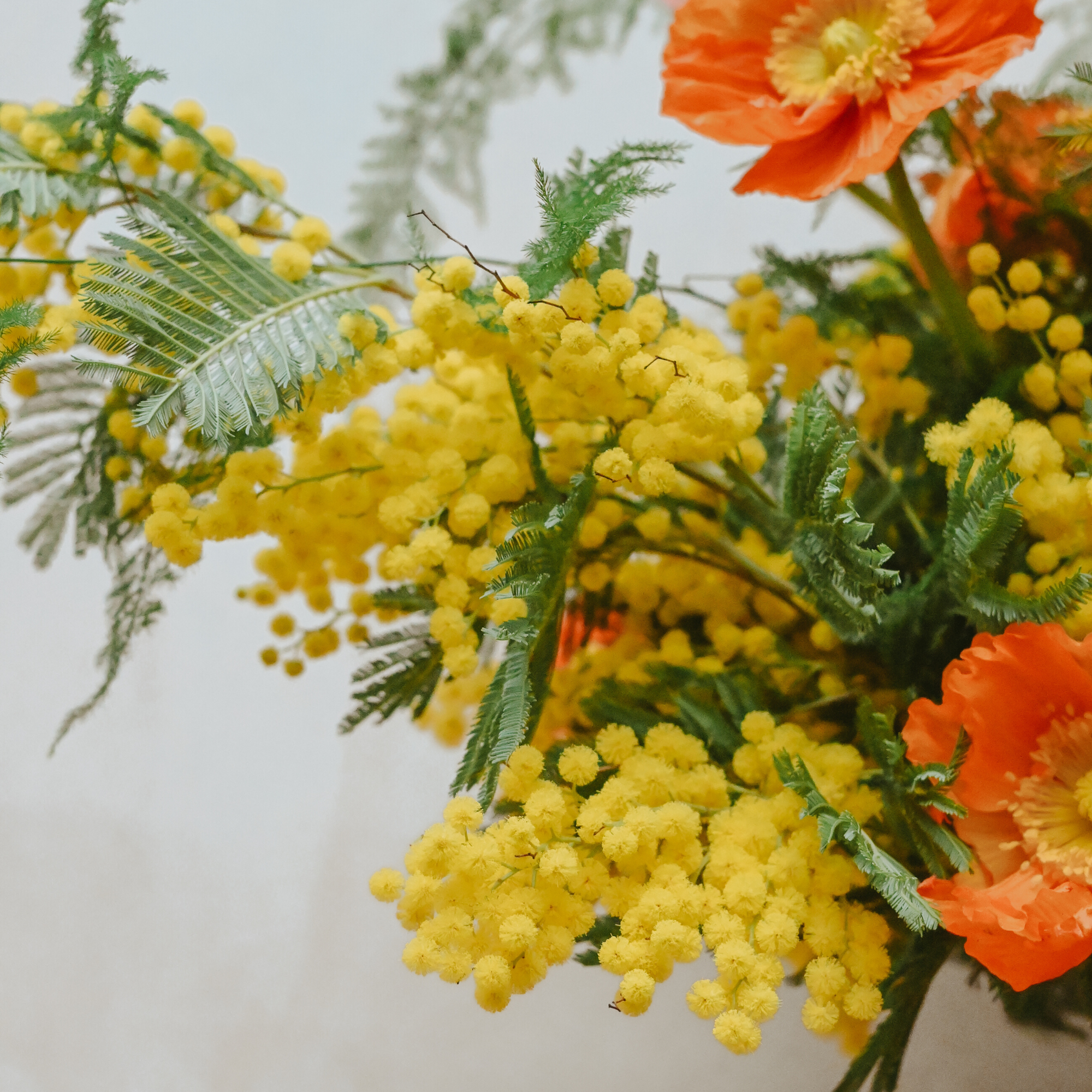 icelandic poppies and mimosa fresh flowers bouquet available for London & UK flower delivery