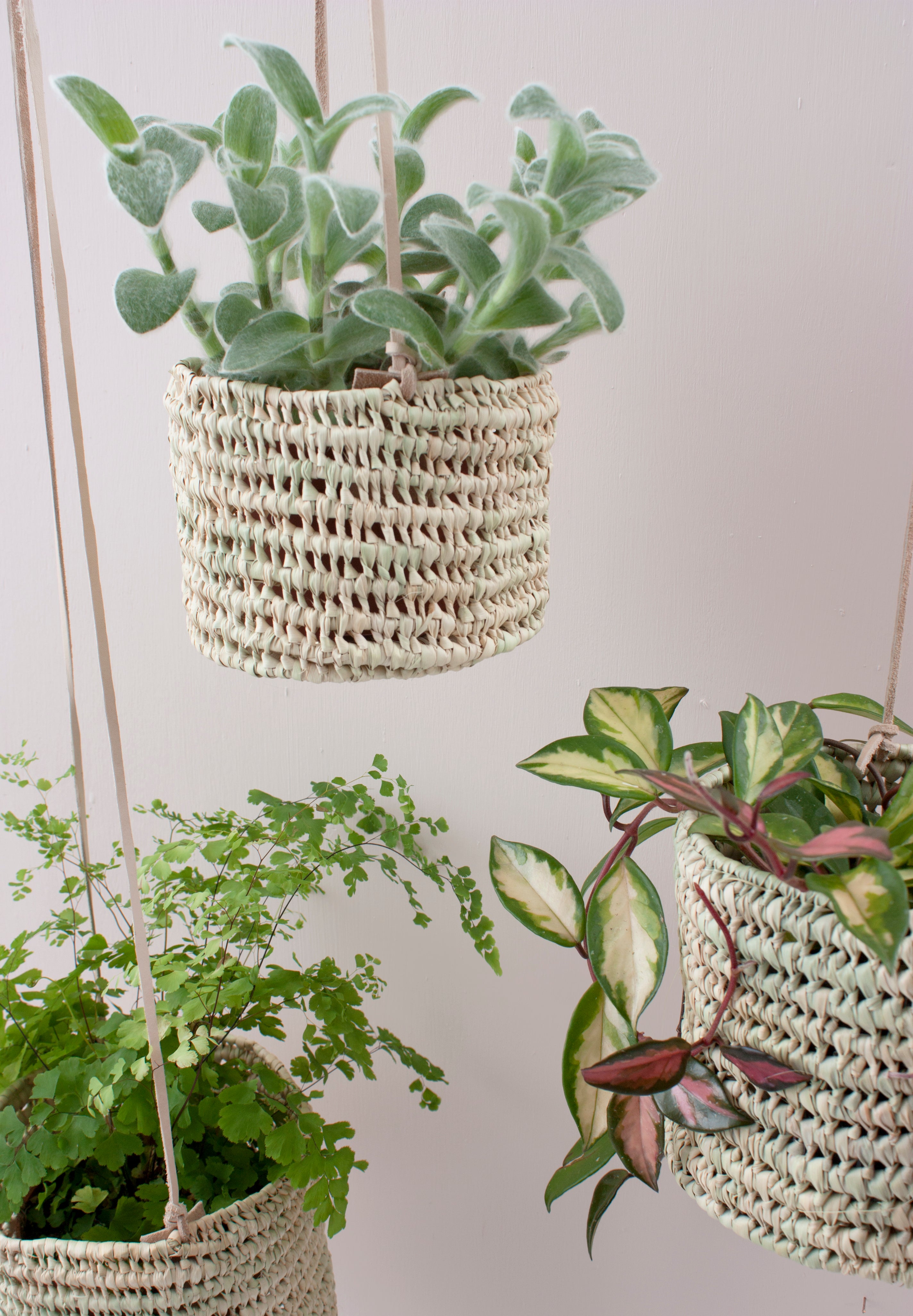Open Weave Hanging Plant Basket