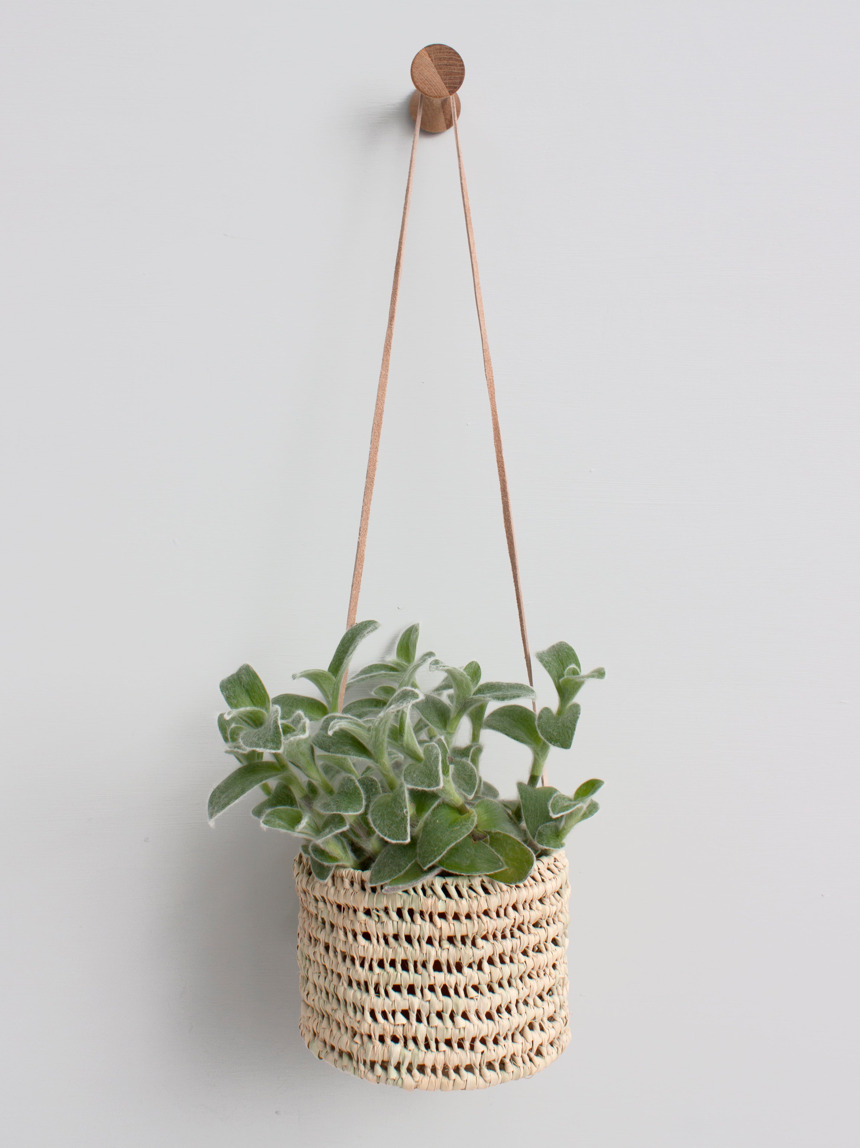 Open Weave Hanging Plant Basket
