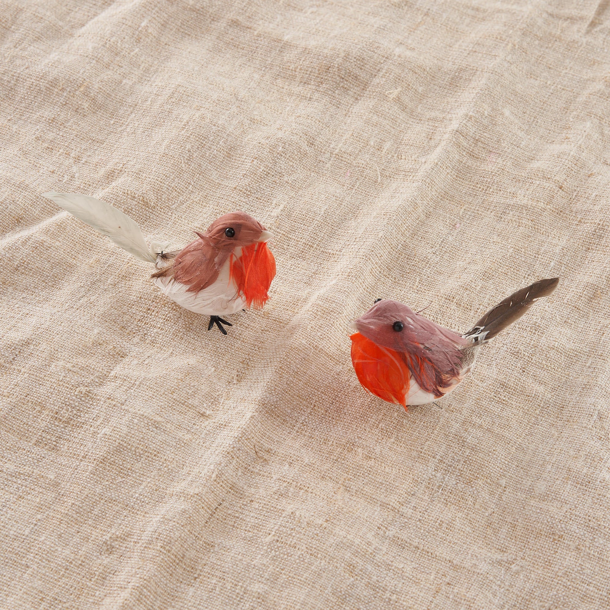 Pair of feather robins