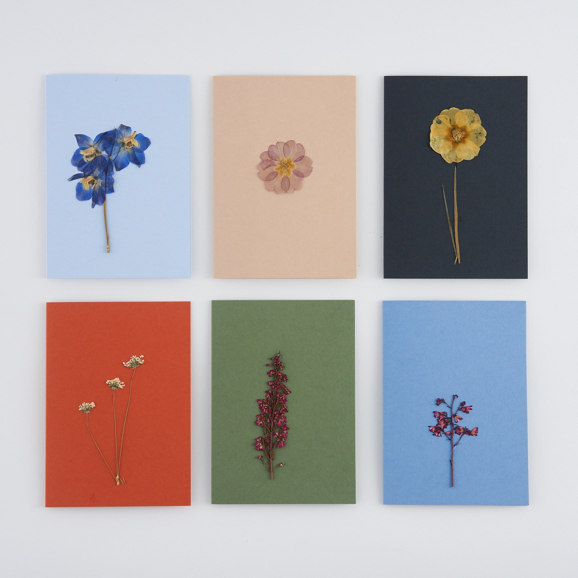 Set of 6 Pressed flower greetings cards