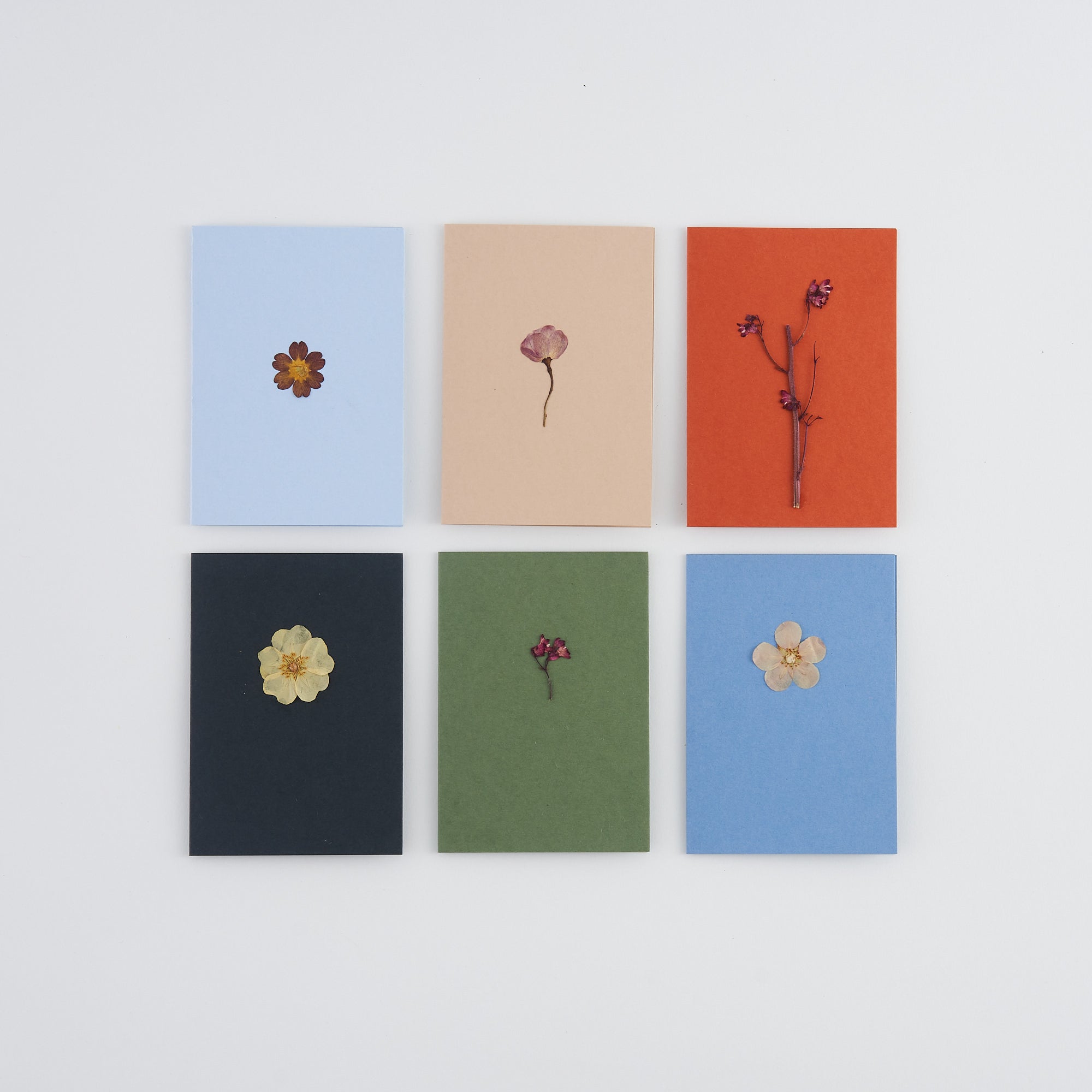 pressed flower cards with real flowers in different colours