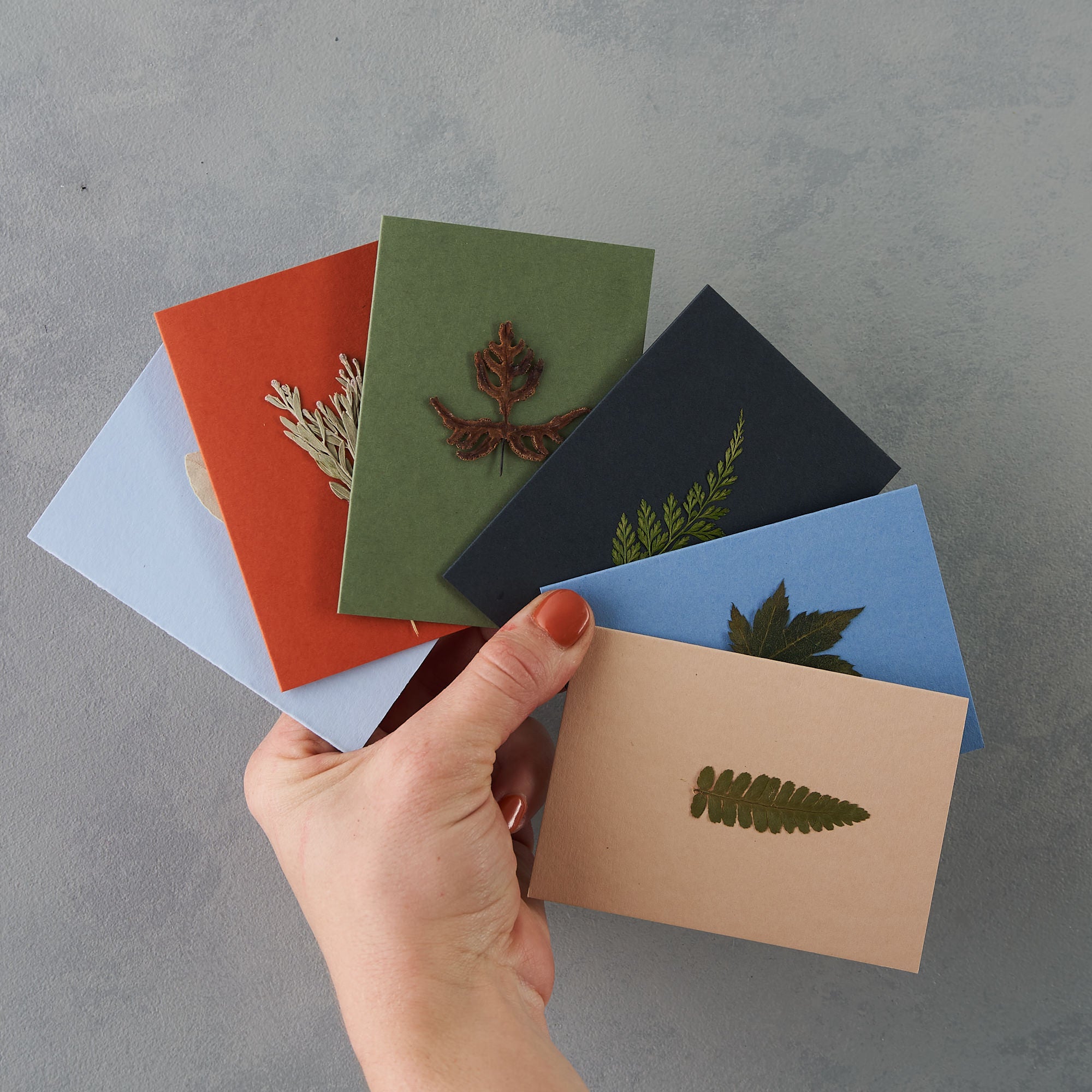 Fresh Flowers + Set of Blank Cards for Flower Pressing