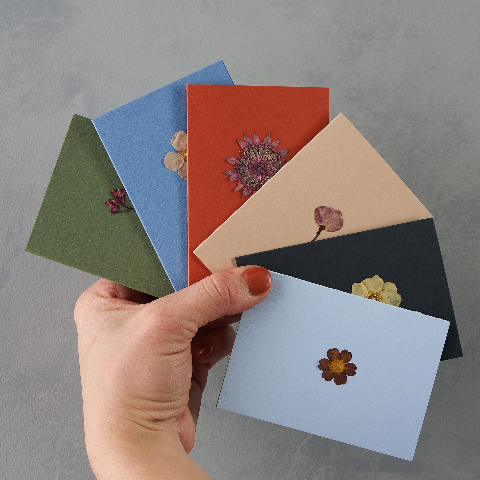 pressed flower cards with real flowers in different colours