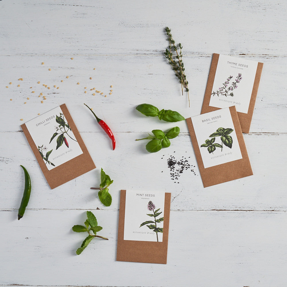 Kitchen Garden Seed Set - Chilli, Mint, Basil and Thyme.
