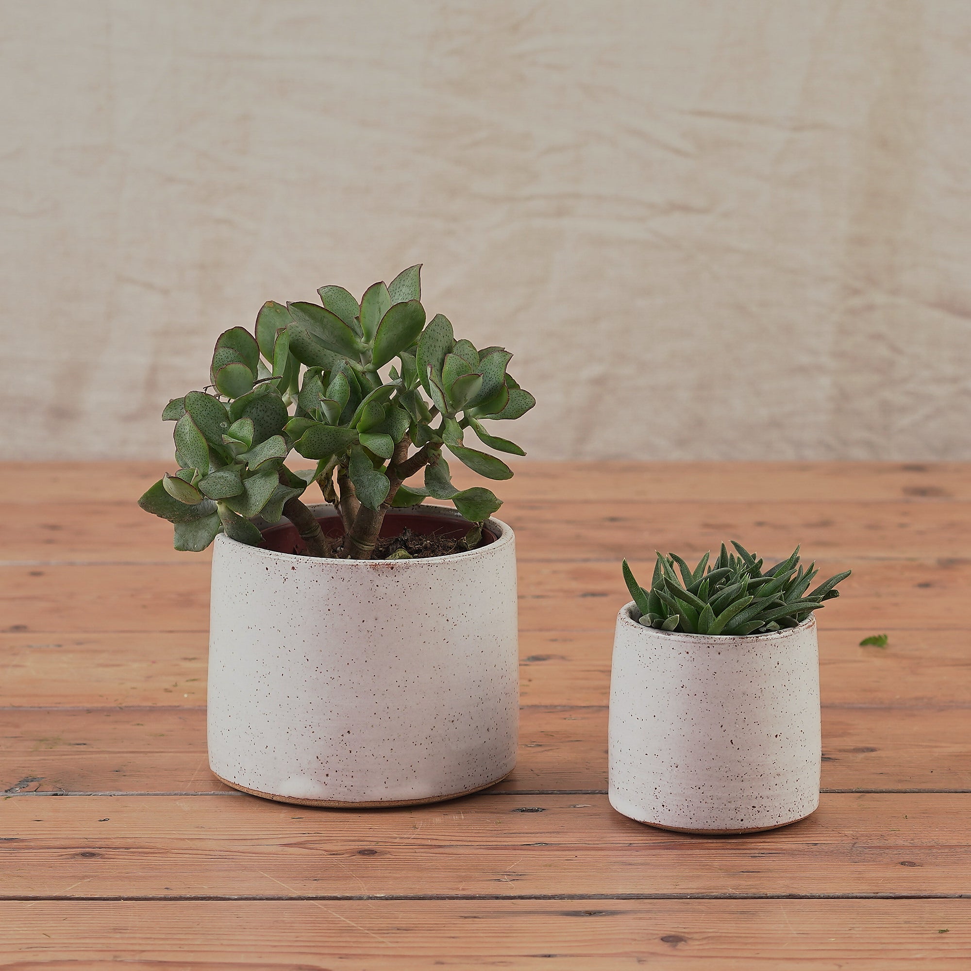 hand thrown ceramic pots for succulents and small plants handmade in London with speckled finish