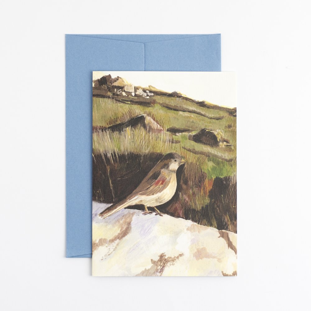 Cornish Bird Greetings Card