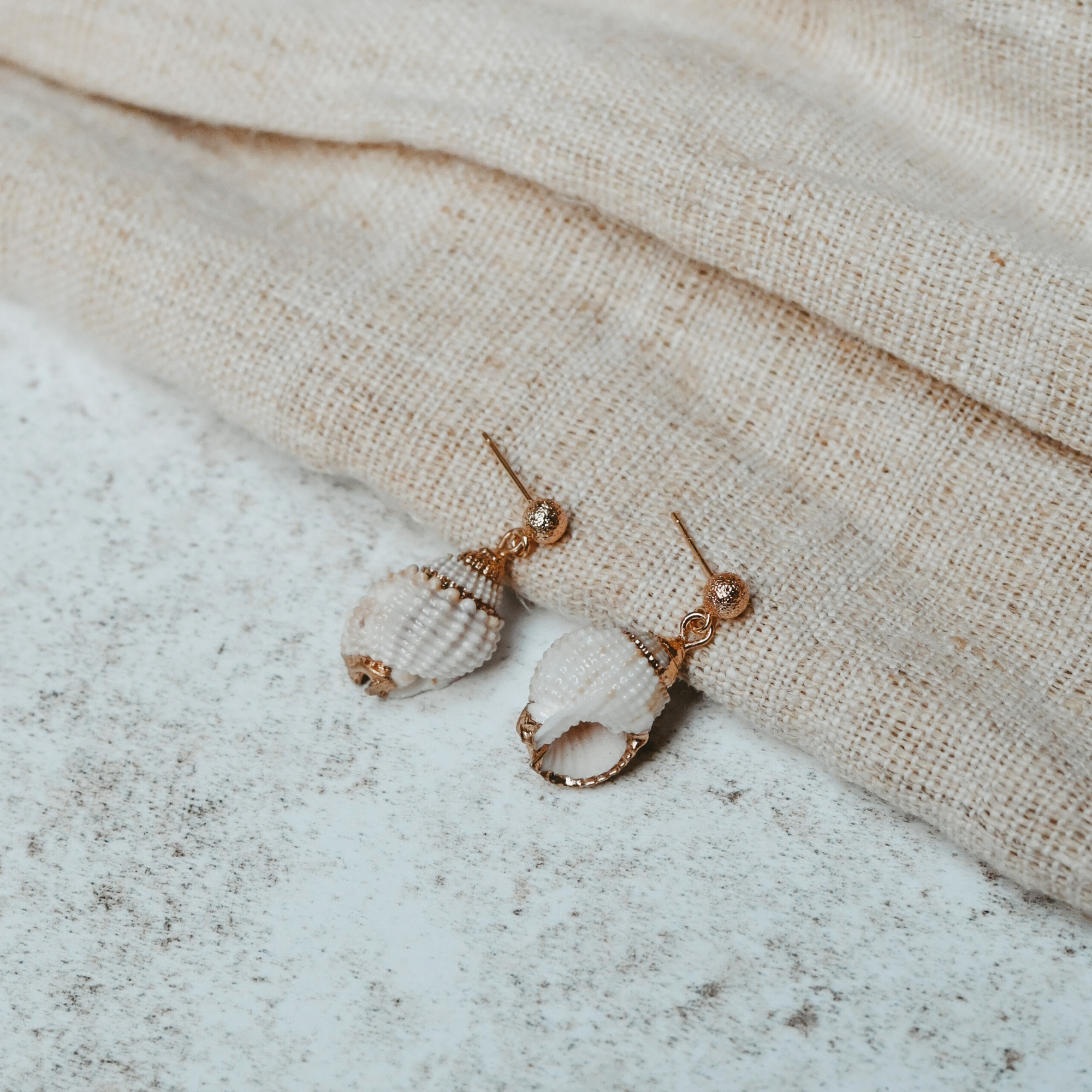 Cosmos Studio by Botanique Workshop natural and golden shell earrings