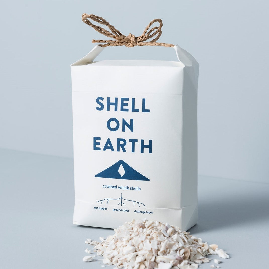 Shell On Earth Crushed Whelk Shells - Original