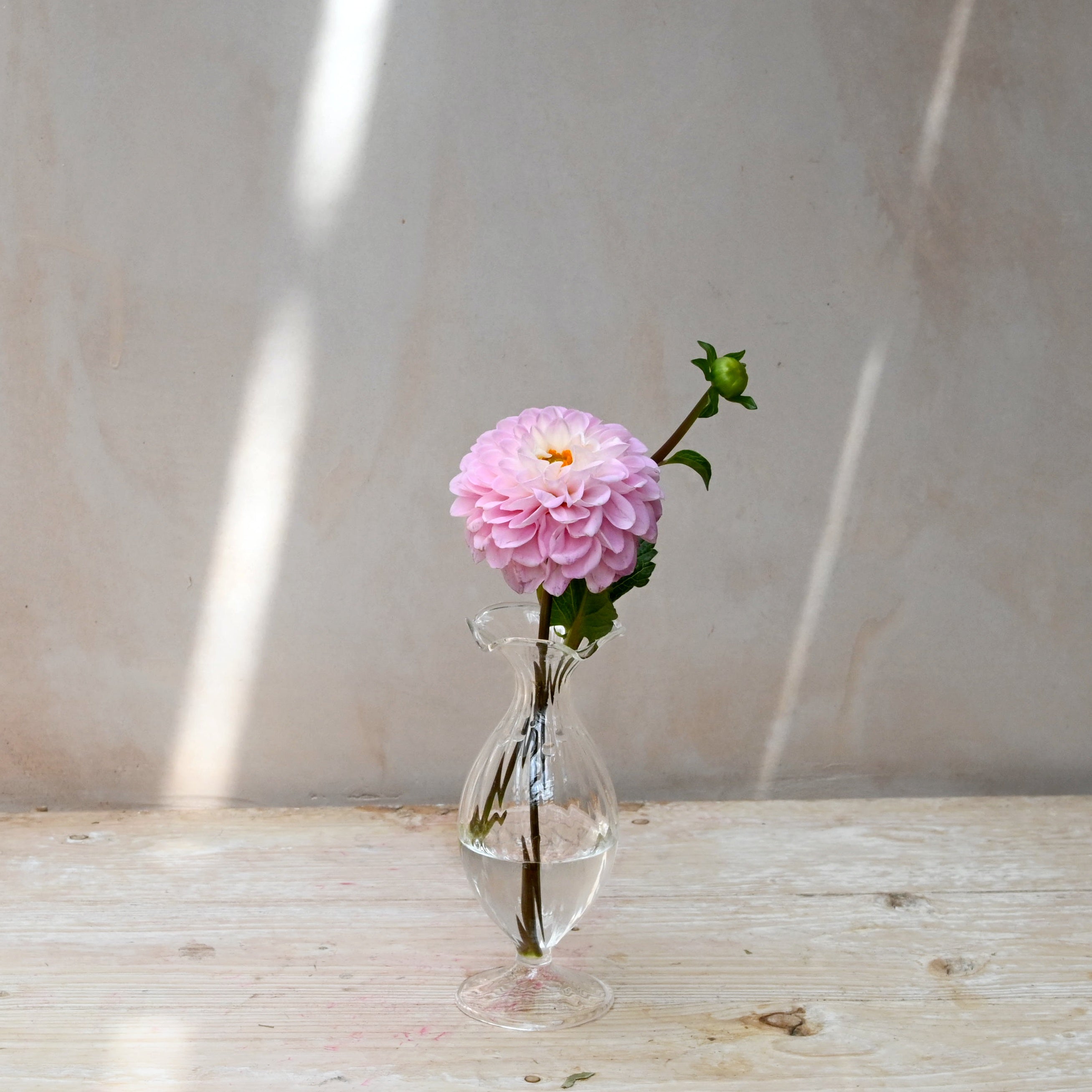 glass bud vase with pink flower