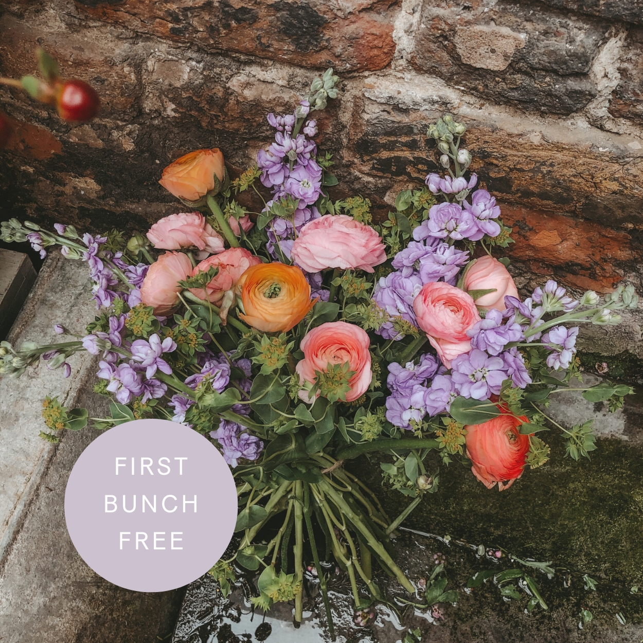 london flower subscription weekly and bi-weekly from Botanique Workshop Islington