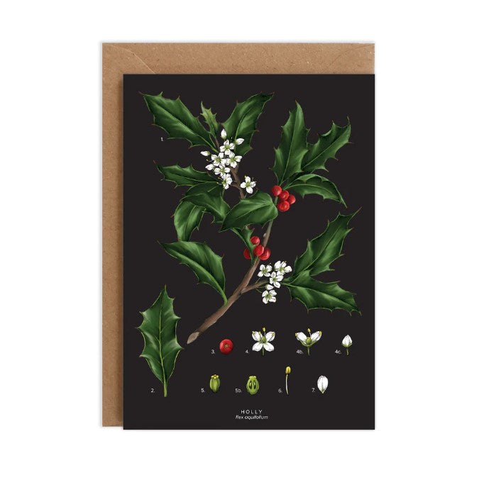 Holly Species Christmas Card
