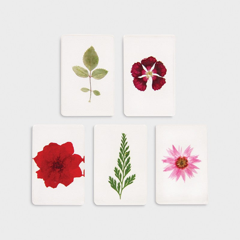 Real Pressed Flowers in Resin | Small