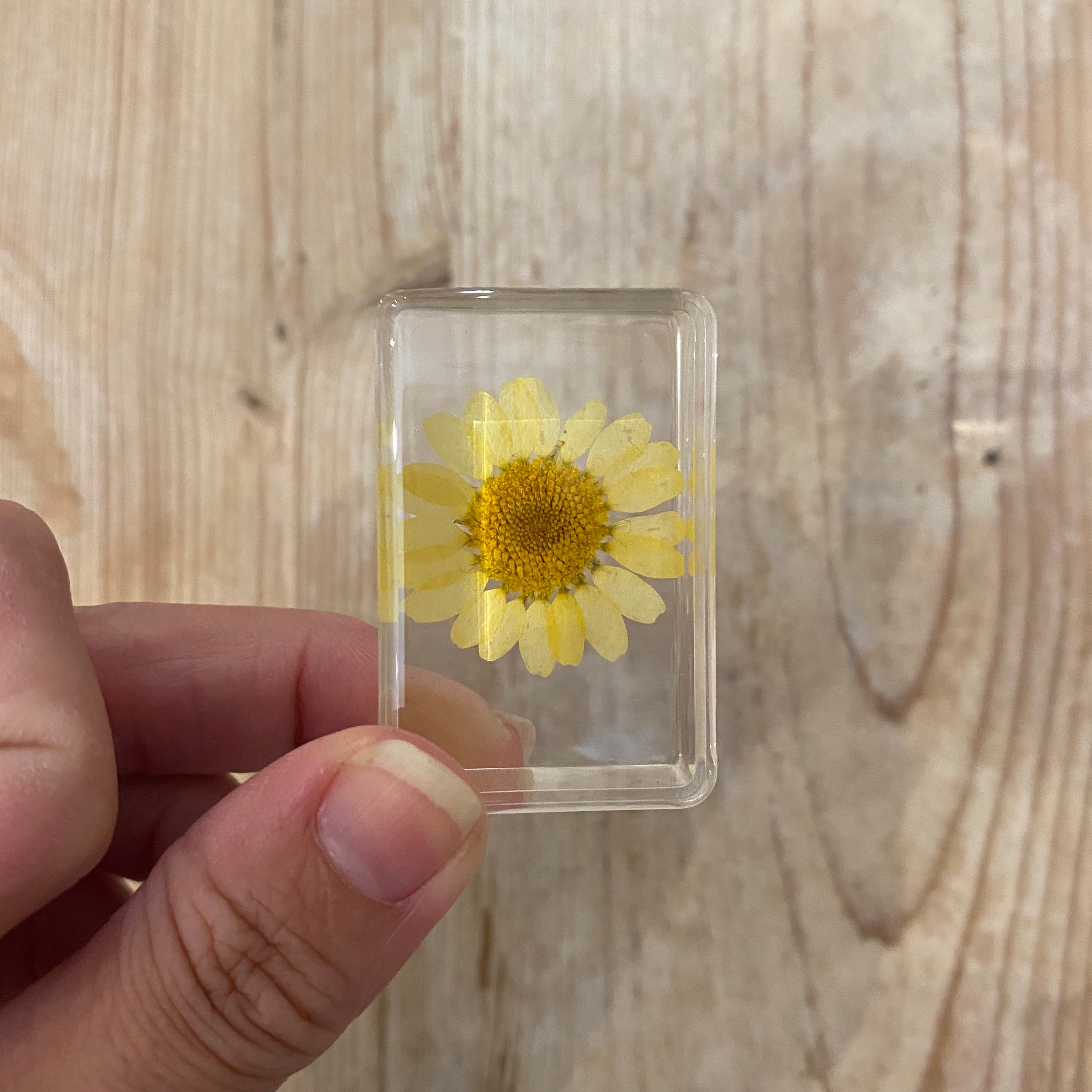 Real Pressed Flowers in Resin | Small