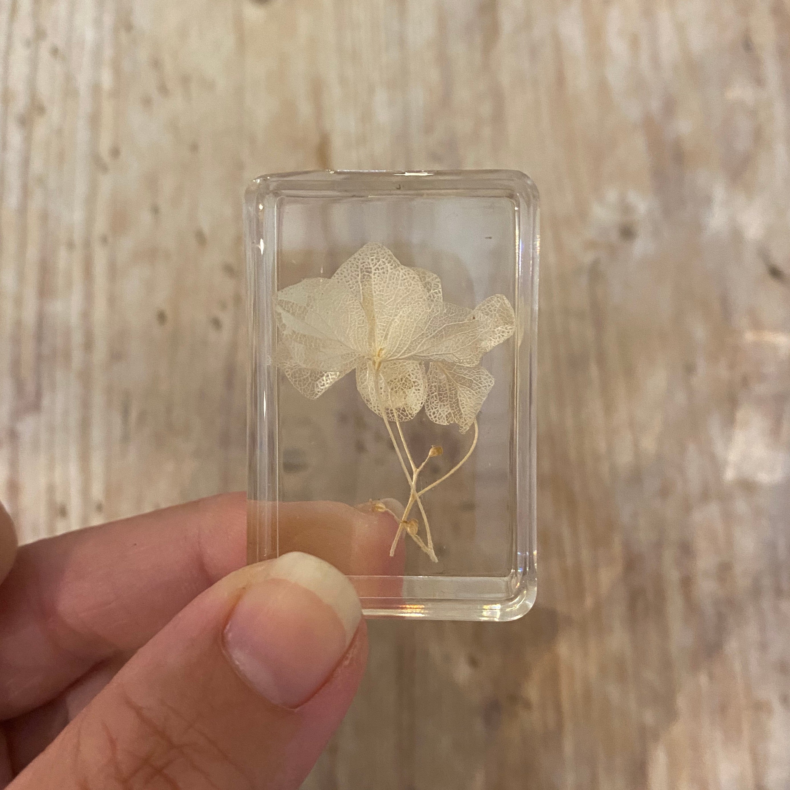 Real Pressed Flowers in Resin | Small