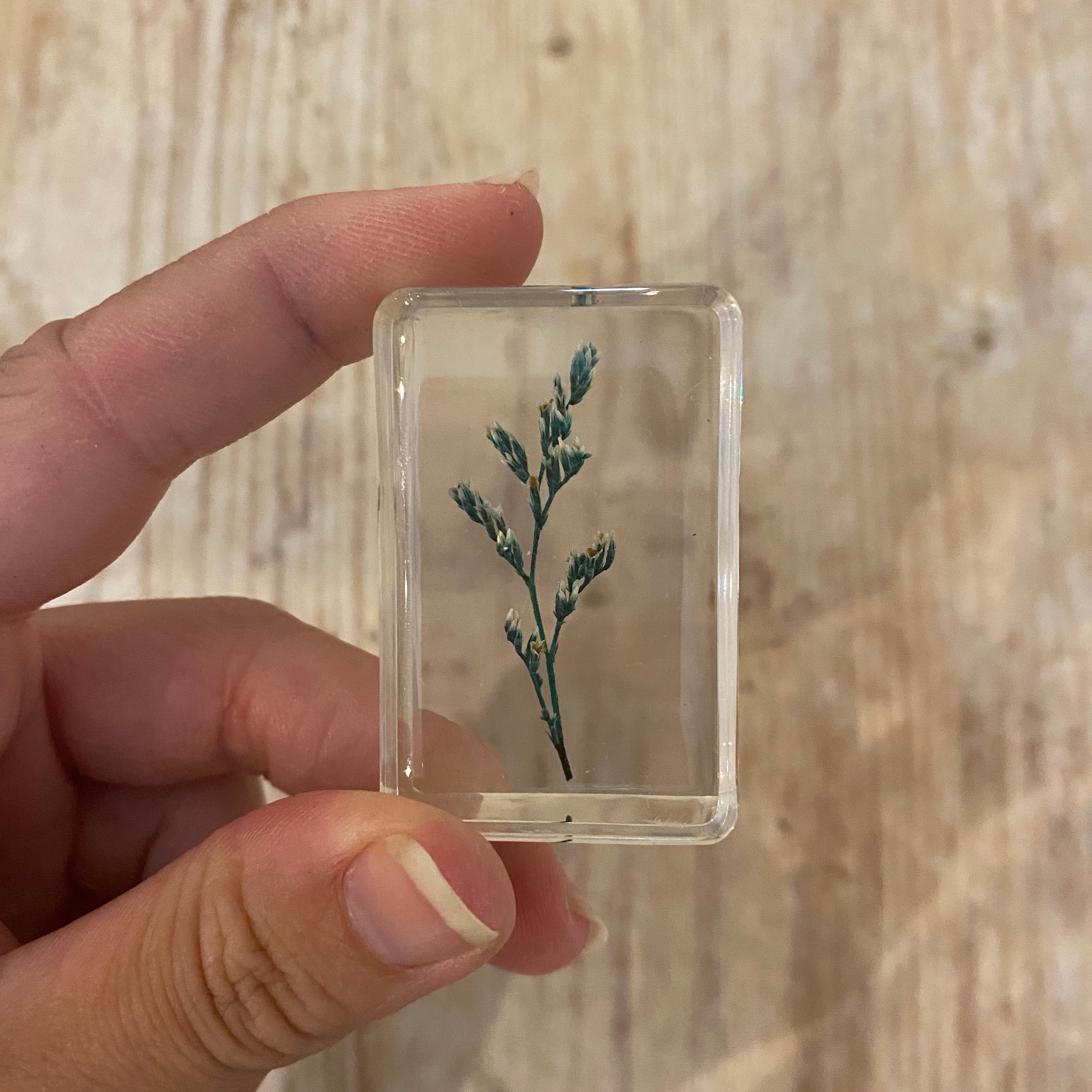 Real Pressed Flowers in Resin | Small