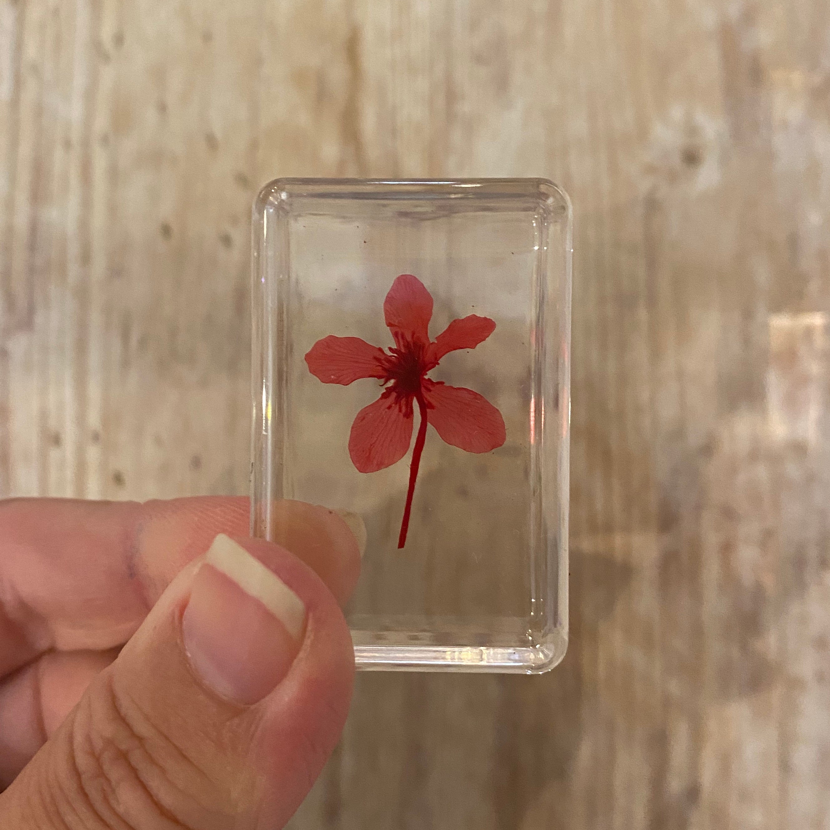 Real Pressed Flowers in Resin | Small