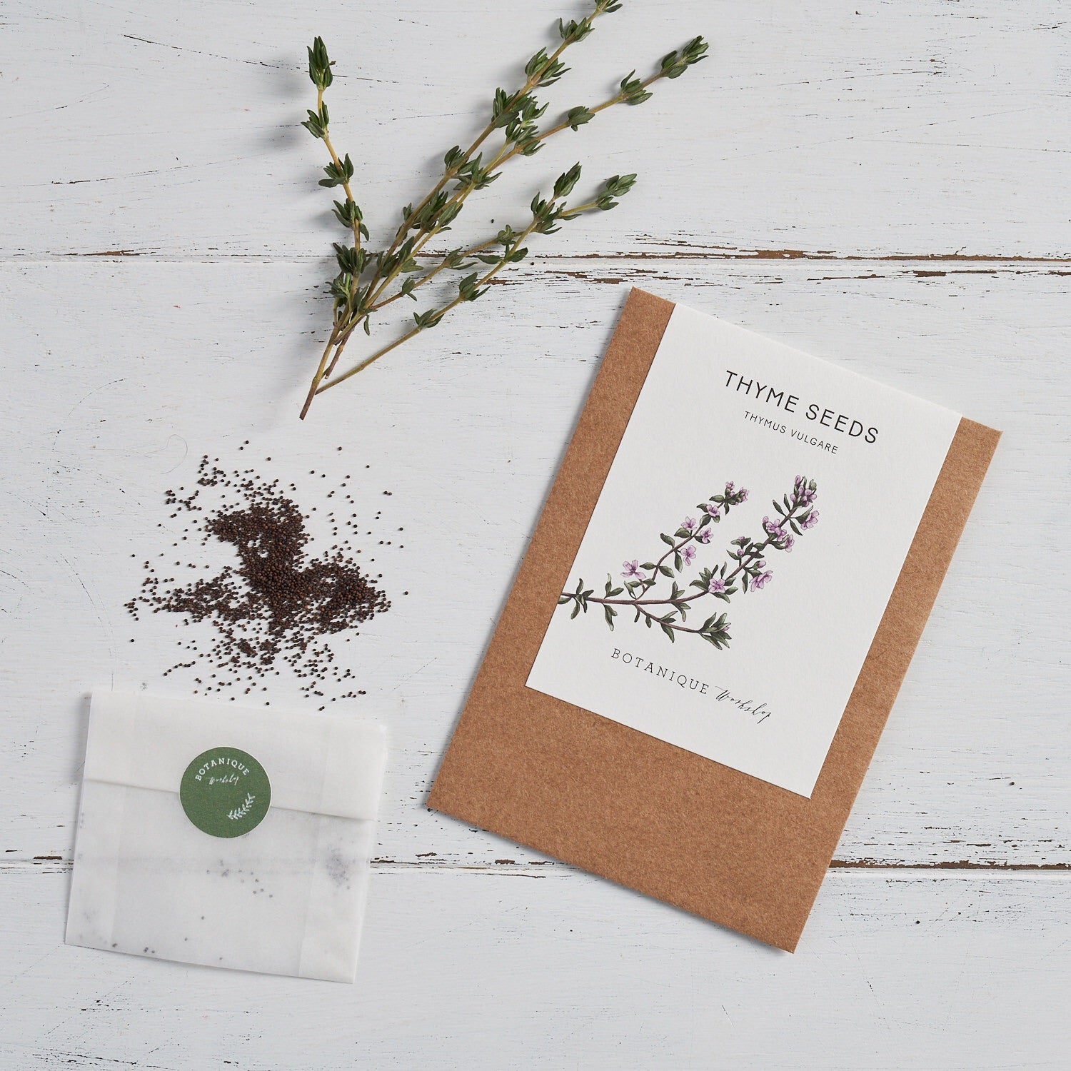 Kitchen Garden Seed Set - Chilli, Mint, Basil and Thyme.