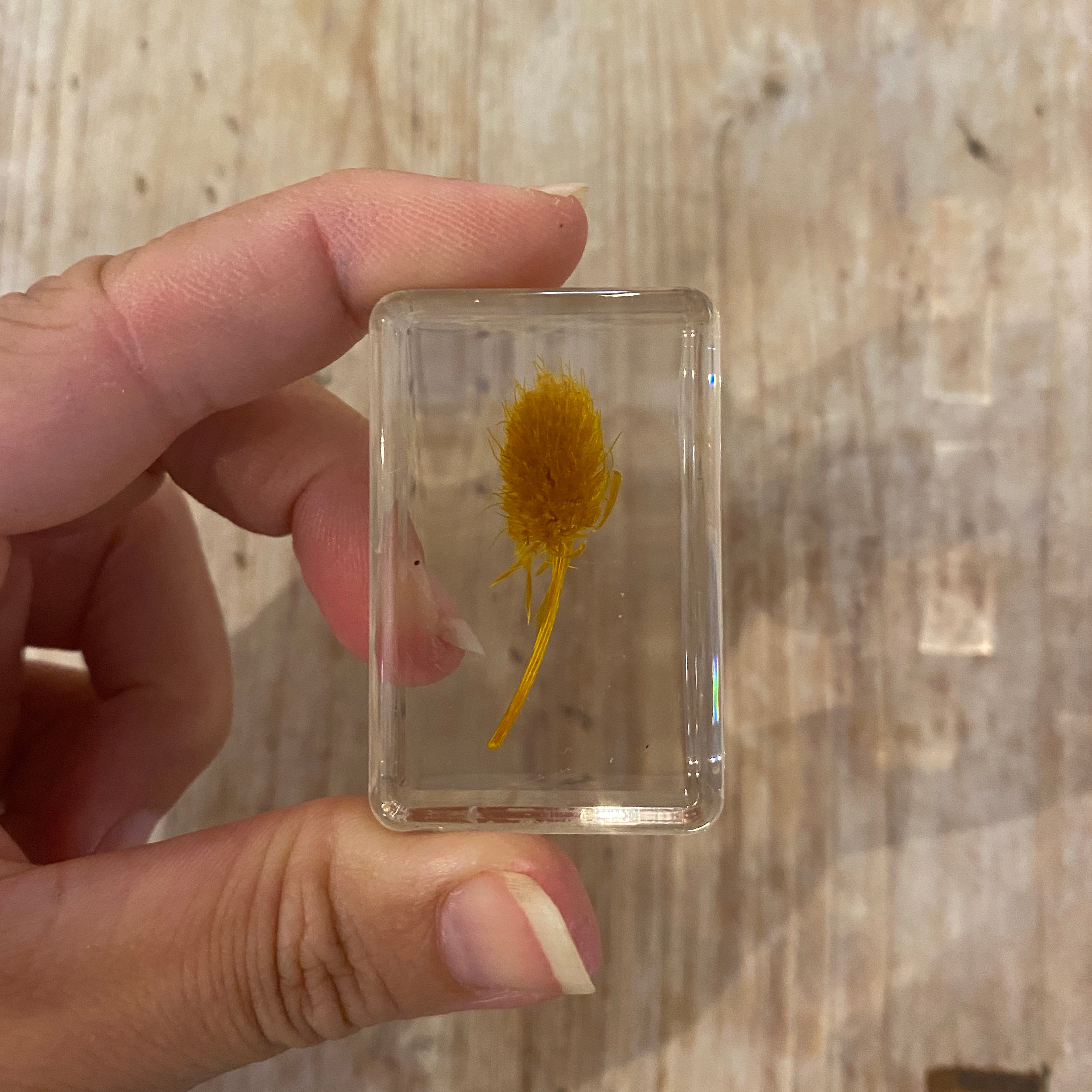 Real Pressed Flowers in Resin | Small