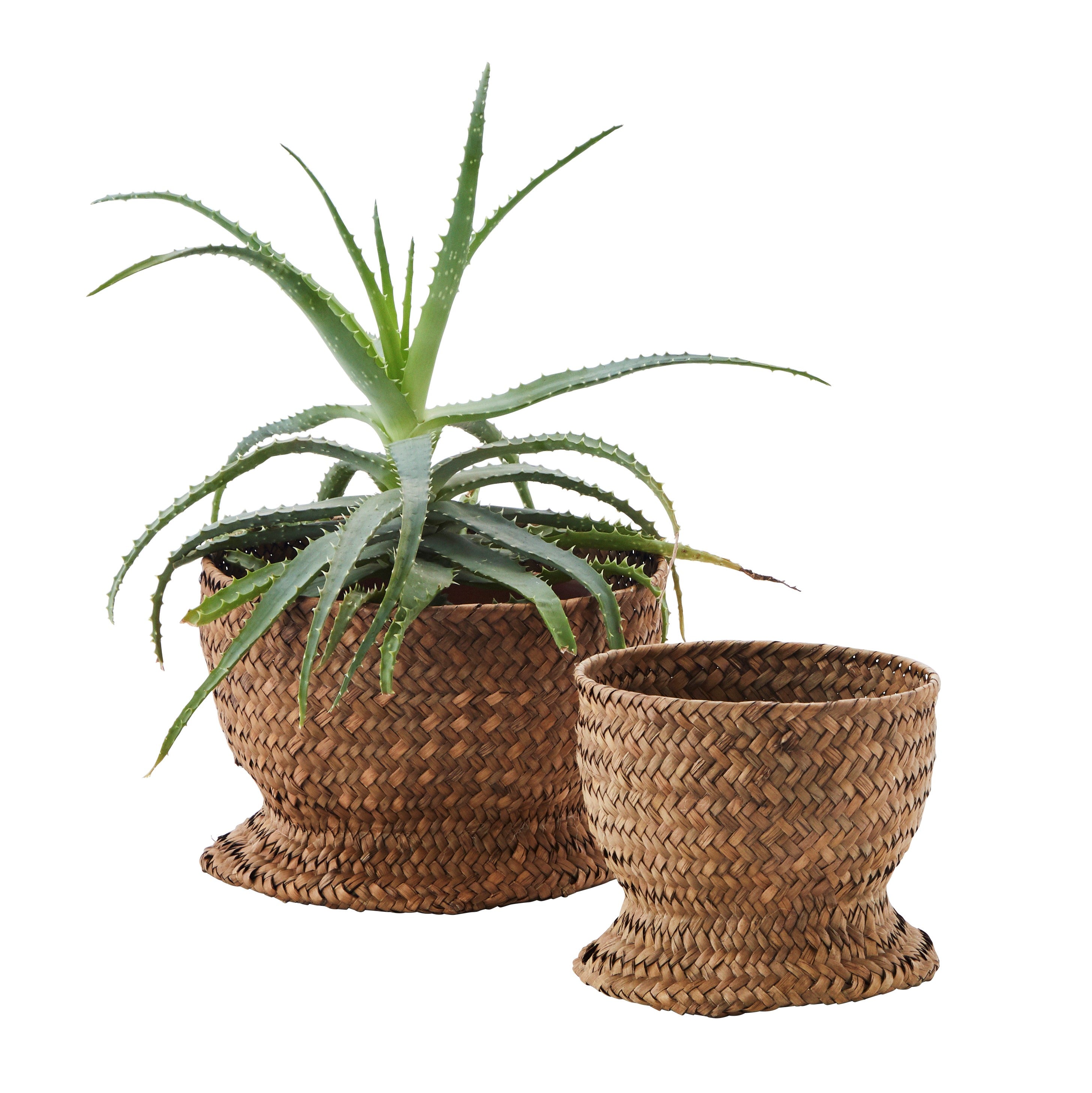 Woven Grass Basket with Stand | Large