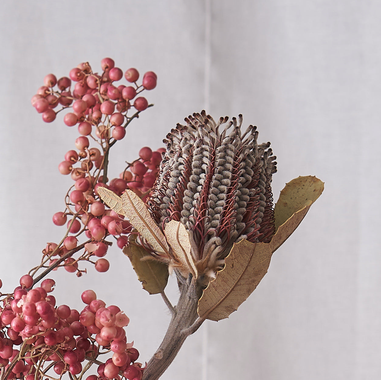 Last Frost: pink peppercorn and banksia