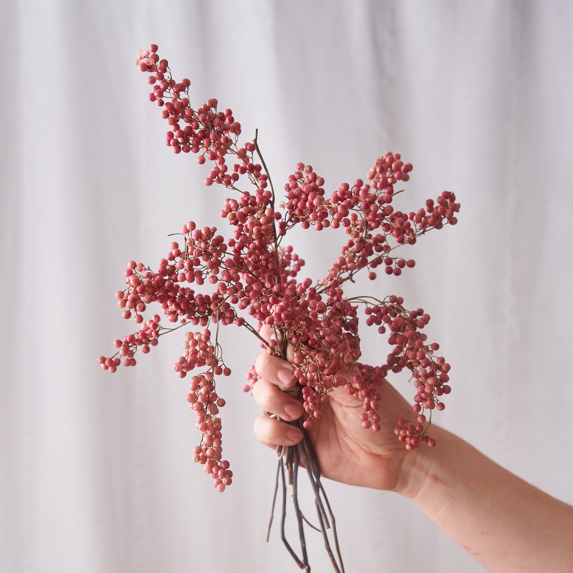 Peppercorn dried bunch