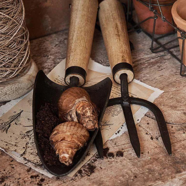 Hand Trowel and Fork Set