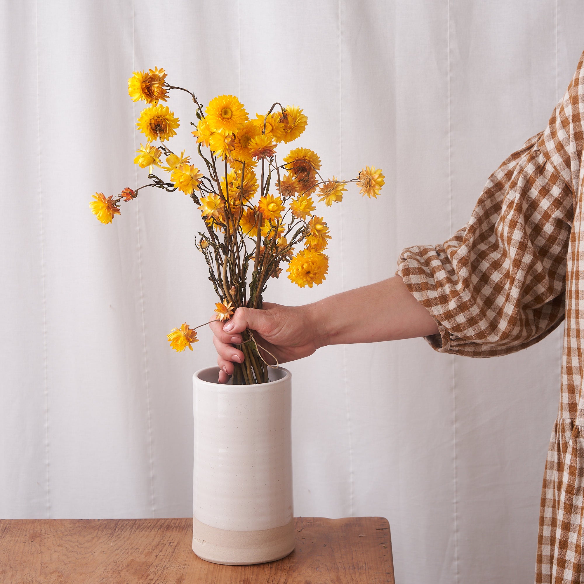 Yellow straw flower dried bunch